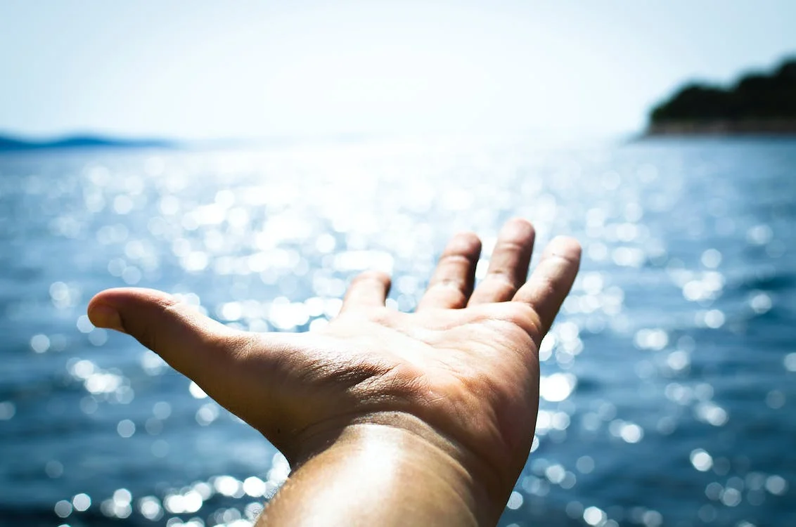 The Road to Financial Freedom